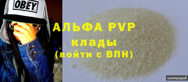 стаф Аркадак