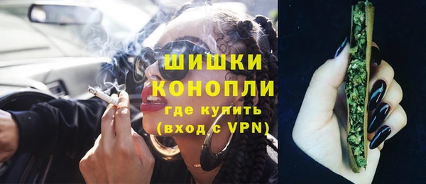 стаф Аркадак