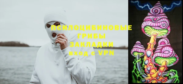 мескалин Арсеньев