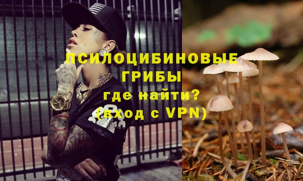 стаф Аркадак