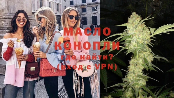 стаф Аркадак