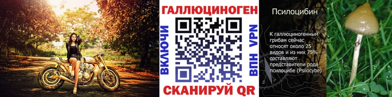 omg ссылки  Вихоревка  Псилоцибиновые грибы прущие грибы  купить  сайты 
